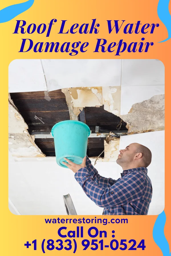 Roof Leak Water Damage Repair in Boynton Beach, FL