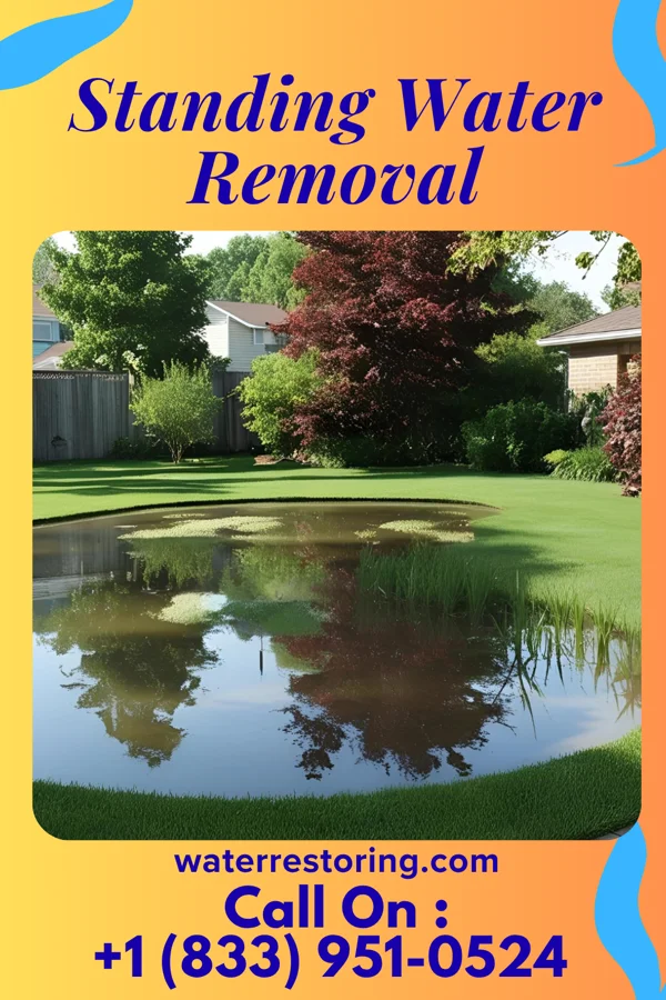 Standing Water Removal in Boynton Beach, FL